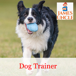 Dog trainer Mr. Debankur Das in Ganganagar